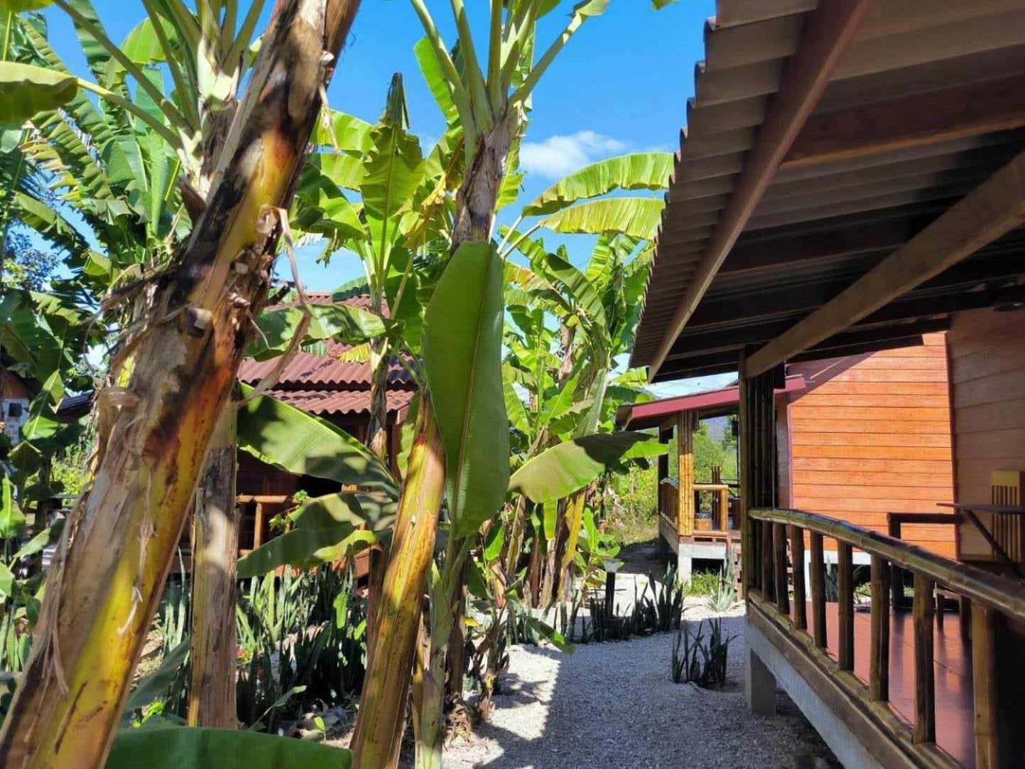 Nana Bungalows Ban Tan ภายนอก รูปภาพ