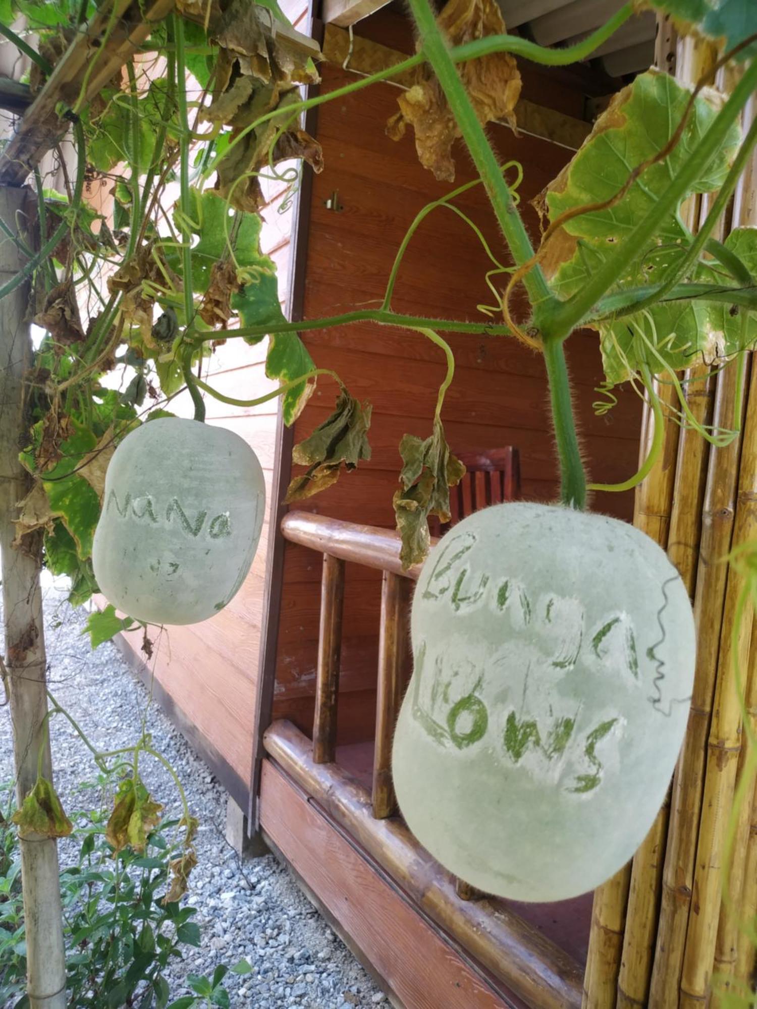 Nana Bungalows Ban Tan ห้อง รูปภาพ