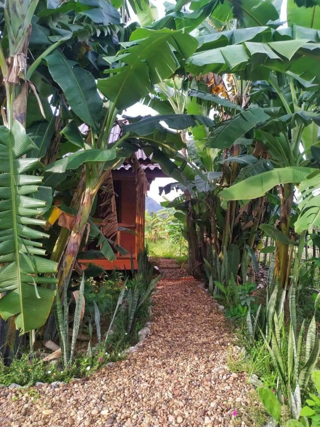 Nana Bungalows Ban Tan ห้อง รูปภาพ